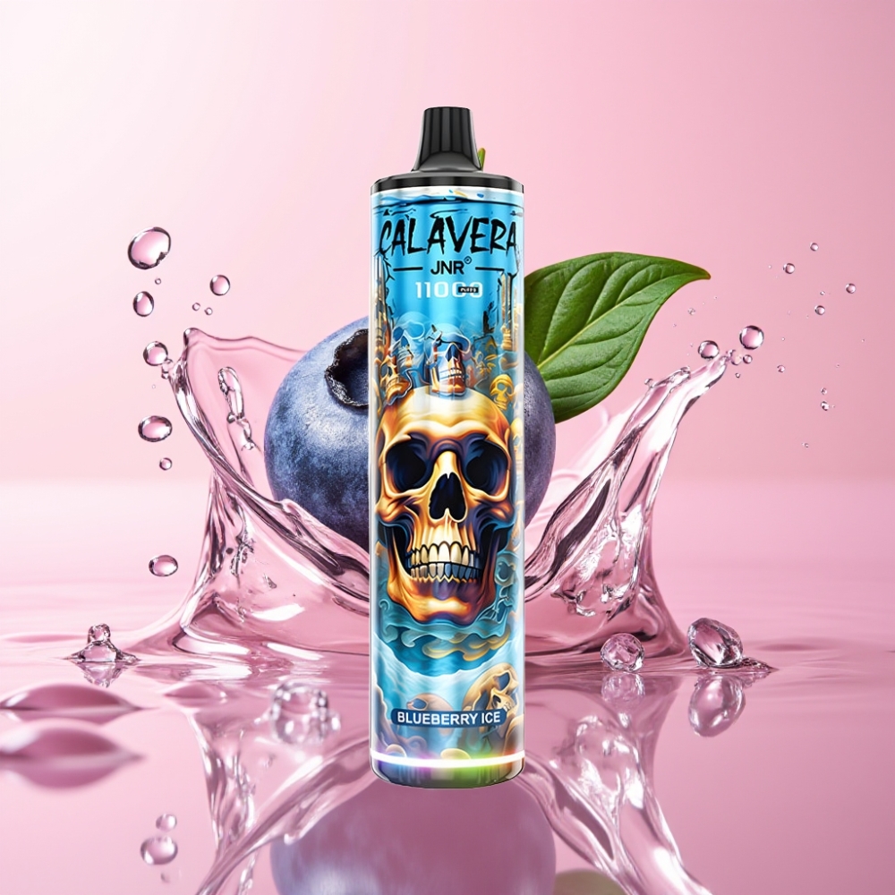 JNR Calavera 11000 Puffs Jednokratna Vape Borovnica Led s 850 mAh Baterijom