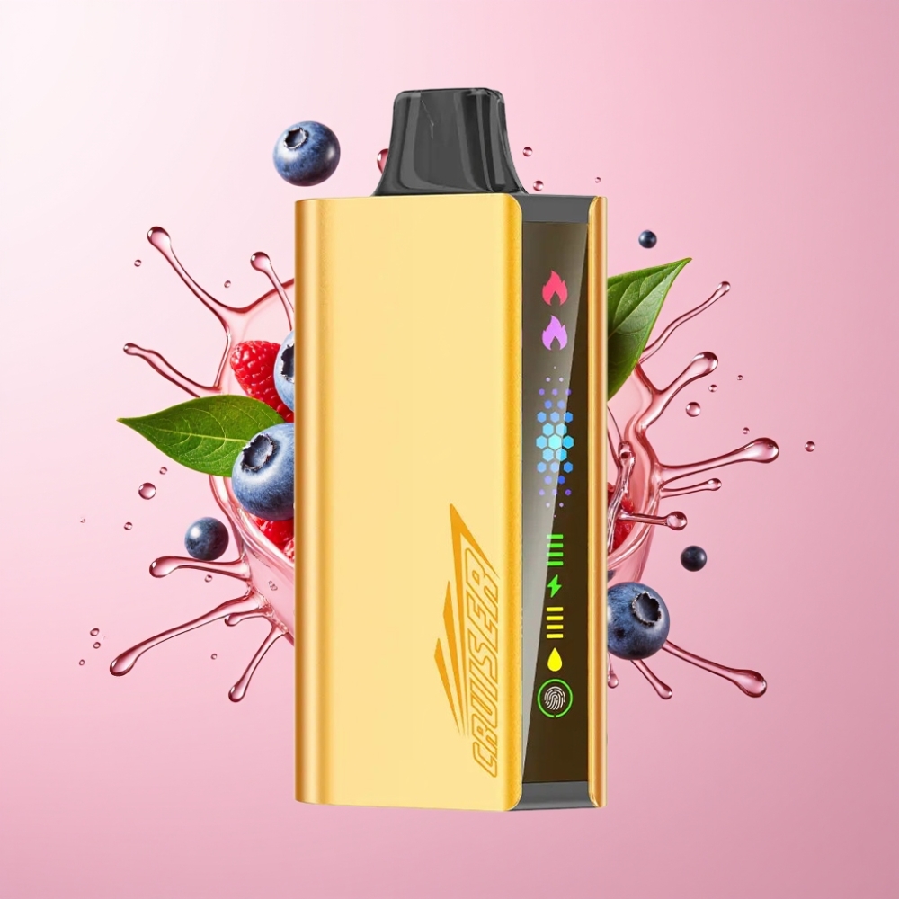 JNR Cruiser 12000 Puffs Bez Punjenja Disposable Vape Borovnica Eksplozija 50mg/mL