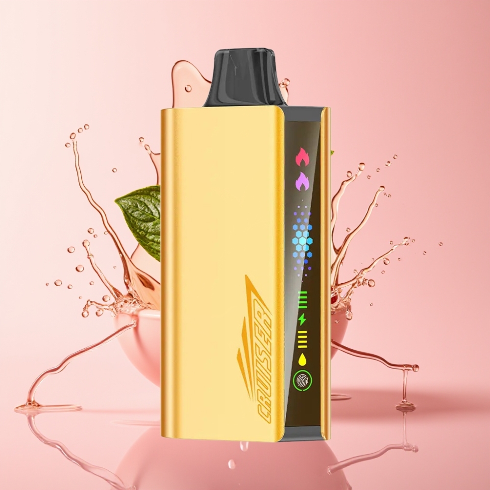 JNR Cruiser 12000 Pufova Bez Punjenja Disposable Vape Cool Metvica JNR Cruiser 12000 Pufova 3500 mAh Bez Punjenja Disposable Vape