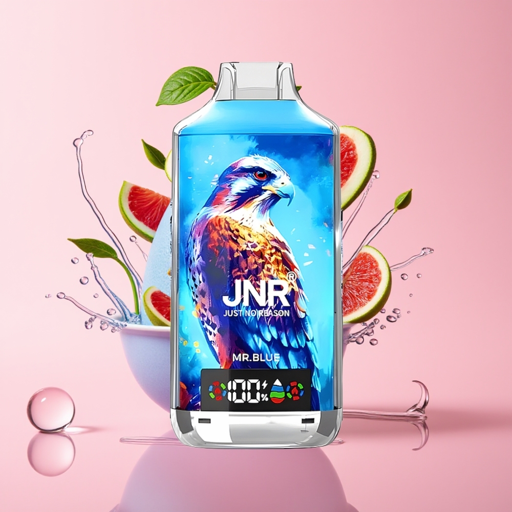 JNR Falcon X 18000 Puffs Disposable Vape Plavi s 24ml tekućine
