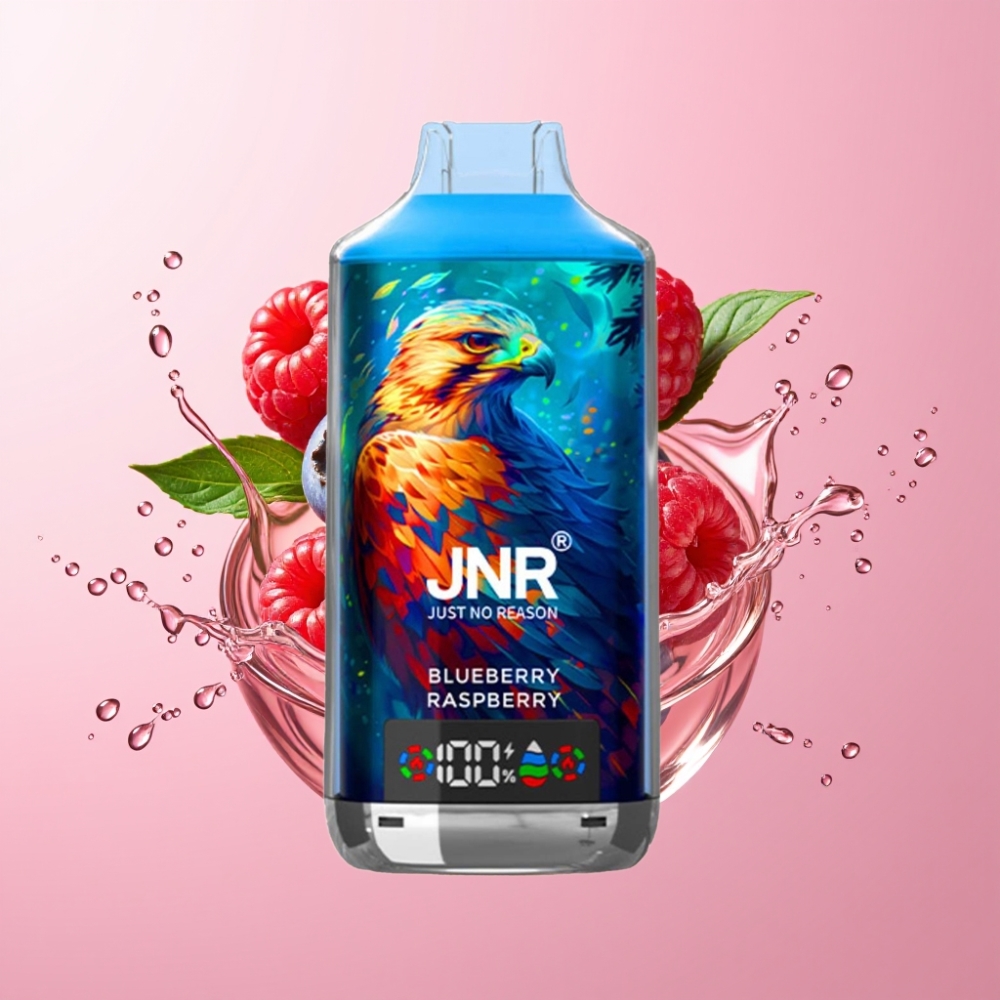 JNR Falcon X 18000 Puffs Jednokratna Vape Borovnica Malina 24ml Dual Mesh Coil
