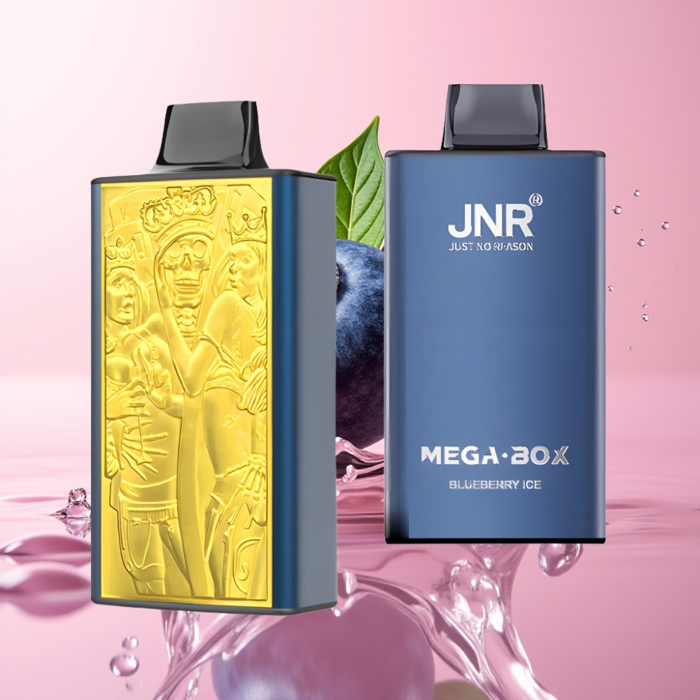 JNR Mega Box 25000 Puffova Disposable Vape Borovnica Led s 850mAh Baterijom