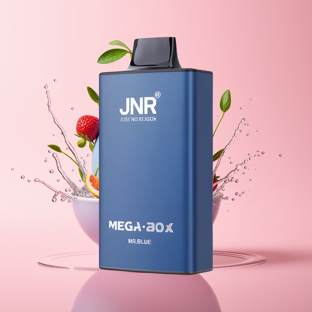 JNR Mega Box 25000 Pufova Disposable Vape Mr Plavi s 850mAh baterijom