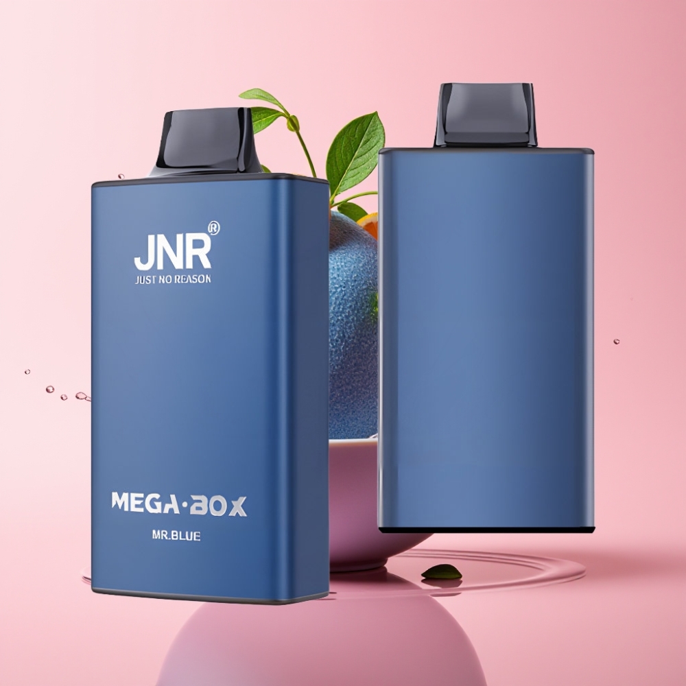 JNR Mega Box 25000 Pufova Disposable Vape Mr Plavi s 850mAh baterijom