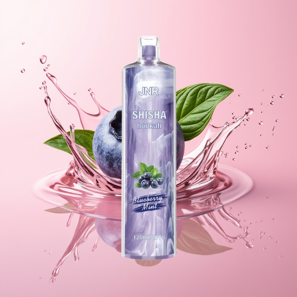 JNR Shisha Hookah 12000 Puffs Jednokratna Vape Borovnica Metvica 24ml JNR Shisha Hookah 12000 Puffs 750mAh Type-C