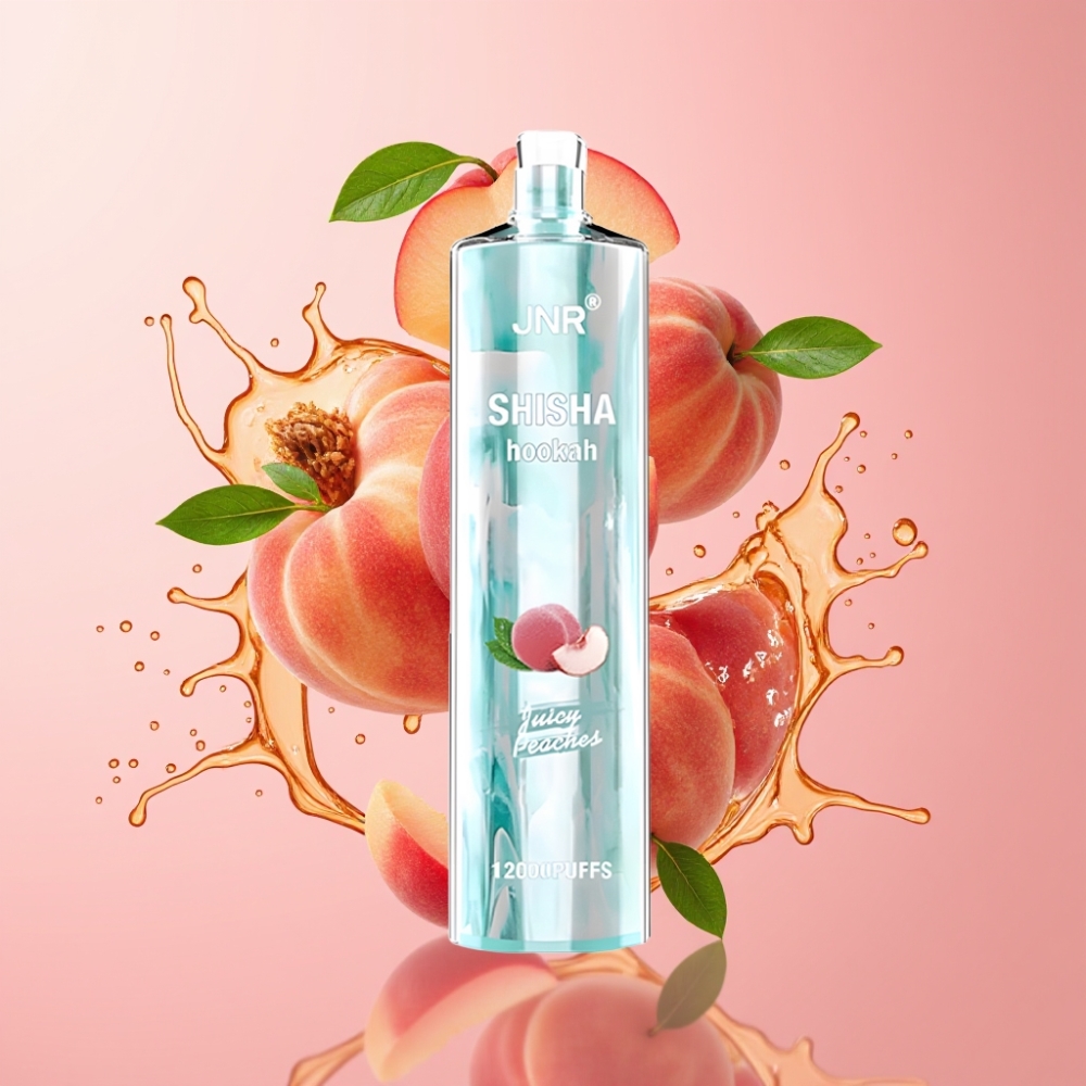 JNR Shisha Hookah 12000 Puffs Jednokratna Vape Sočna Breskva 24ml JNR Shisha Hookah 12000 Puffs 750mAh Type-C