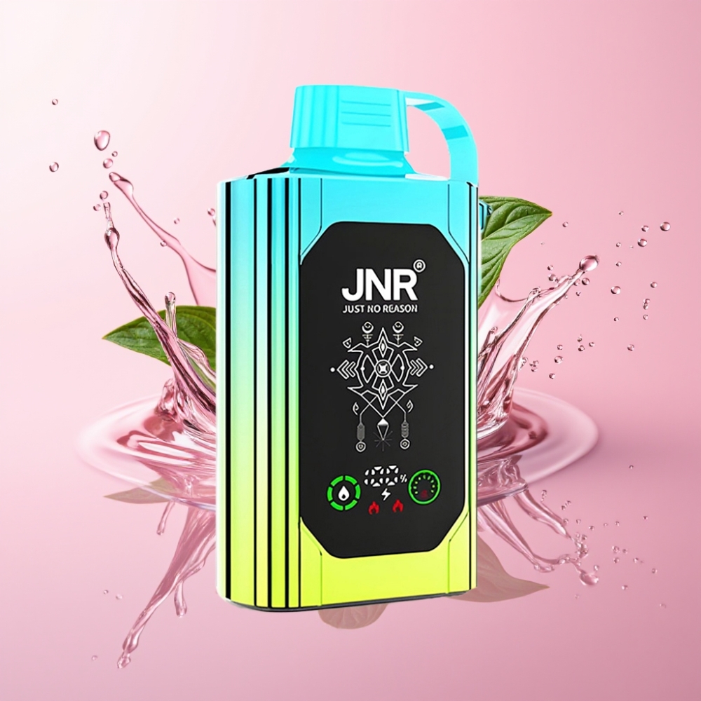 JNR Shisha Hookah Box 20500 Puffs Disposable Vape Borovnica Metvica 25ml