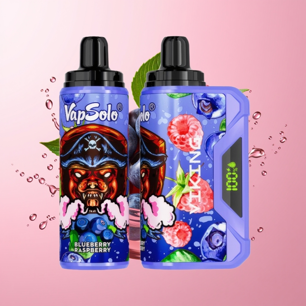 VapSolo VIKING 12000 Puffs Disposable Vape Borovnica Malina 22ml
