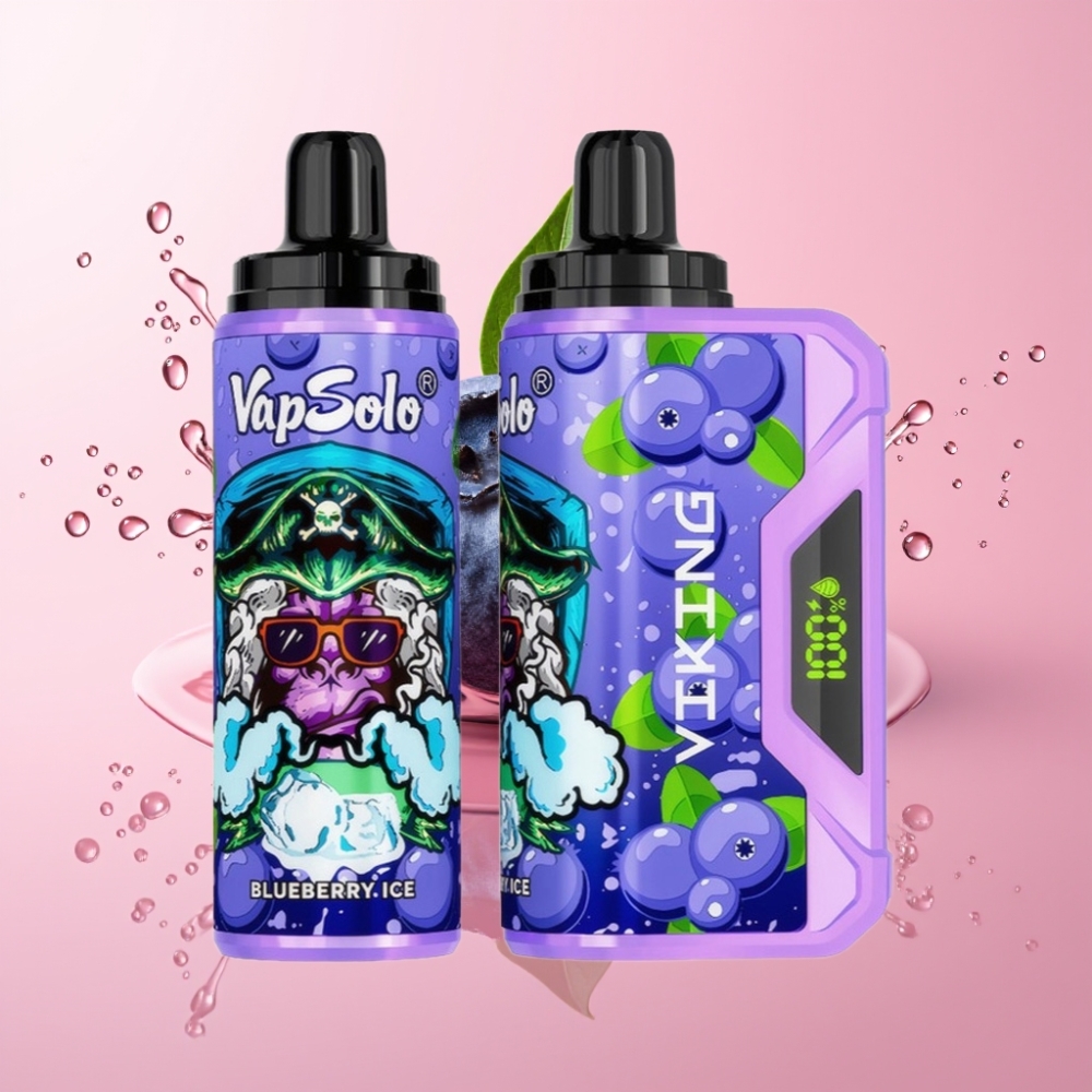 VapSolo VIKING 12000 Puffs Jednokratna Vape Borovnica 22ml VapSolo VIKING 12000 Puffs Jednokratna Vape Tip-C